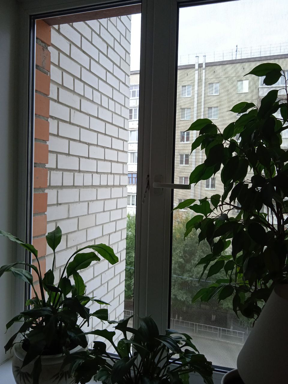 https://votkinsk.delaem-okna.ru/storage/app/uploads/public/63f/332/8c0/63f3328c0408d690824237.jpg