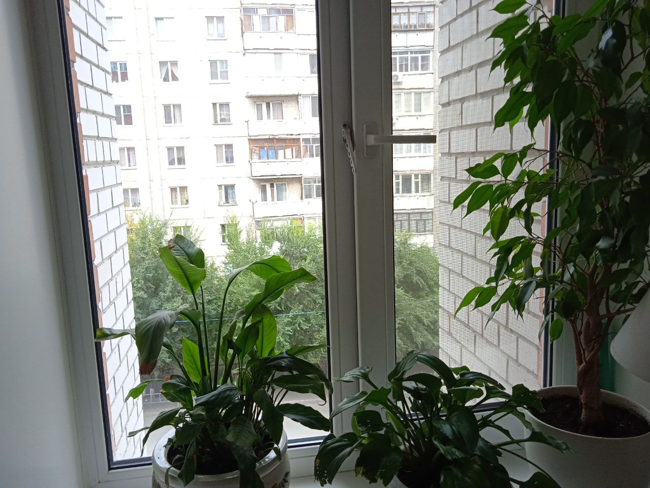 https://votkinsk.delaem-okna.ru/storage/app/uploads/public/63f/332/8c0/63f3328c0d6f7867060515.jpg